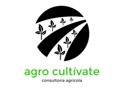 Ayuntamiento de Alloza (7)